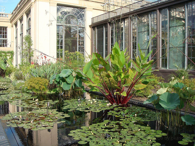 287 Longwood Gardens [2008 August 23].JPG - Longwood Gardens in Pennsylvania